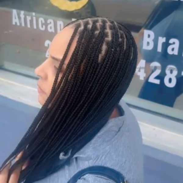 Regular Knotless Braids